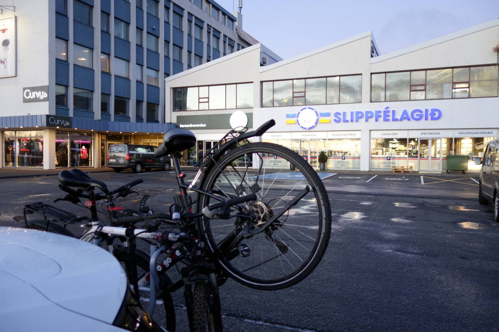 2021 - Selfoss - Hellisskógur