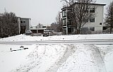&Uacute;tbur&eth;ur Hj&oacute;lhestsins