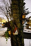 &Uacute;tbur&eth;ur Hj&oacute;lhestsins