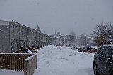&Uacute;tbur&eth;ur Hj&oacute;lhestsins