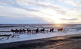 2021 &Uacute;thl&iacute;&eth; - fer&eth;amennska a&eth; vetri