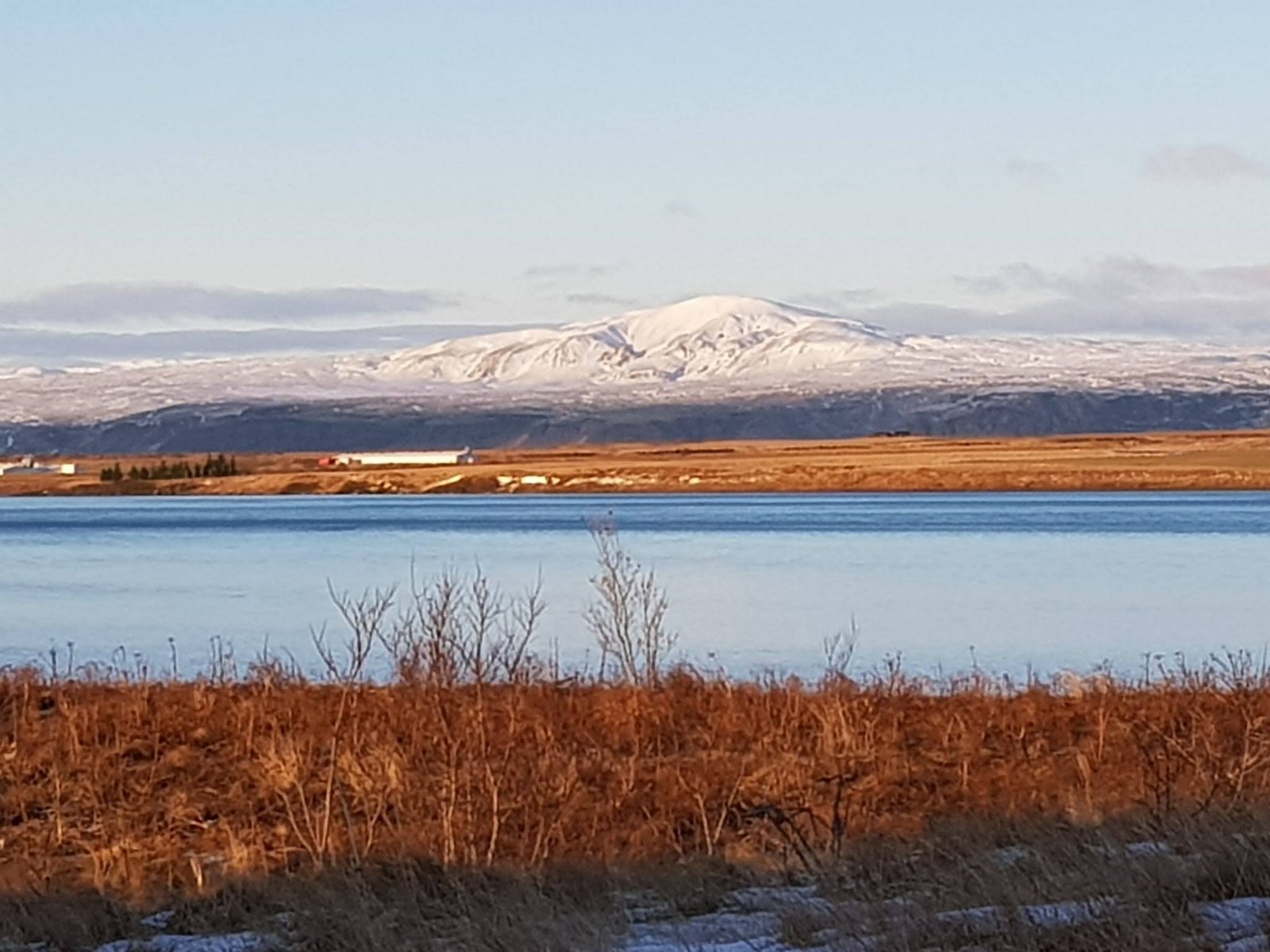 2021 - Selfoss - Hellisskógur