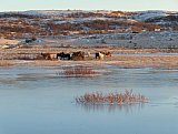 2021 &Uacute;thl&iacute;&eth; - fer&eth;amennska a&eth; vetri