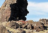 H&ouml;skuldarvellir 3. okt&oacute;ber 2021