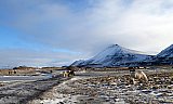                                 - &Uacute;tbur&eth;ur Hj&oacute;lhestsins