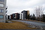 &Uacute;tbur&eth;ur Hj&oacute;lhestsins