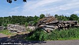 Sv&iacute;&thorn;j&oacute;&eth; 2022 - GWG 