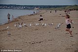 &Aacute; R&auml;bocka str&ouml;ndinni / on R&auml;bocka's beach. - Sv&iacute;&thorn;j&oacute;&eth; 2022 - GWG 