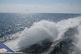 &Iacute; ferjunni / on the ferry - 2022-gwg-danmork