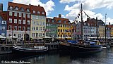 2022-gwg-danmork