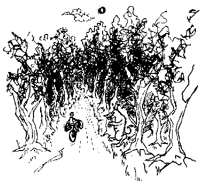 raudhj.gif raudhj.gif