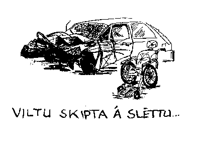 v-skipta.gif