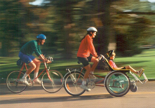 roll-01.jpg roll-01.jpg