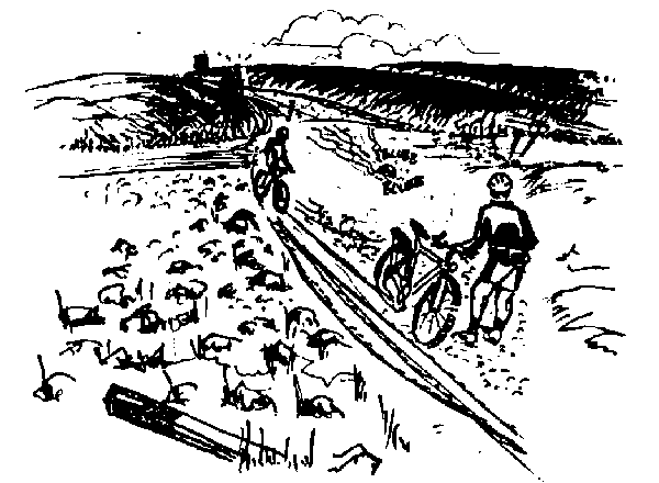 turkom3.gif turkom3.gif