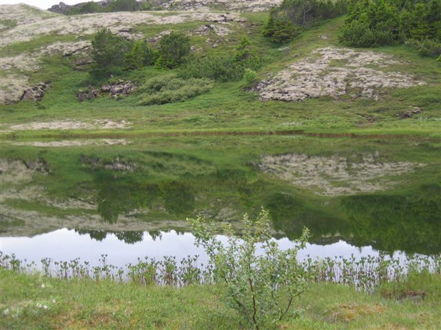 Stafalogn á Þingvöllum